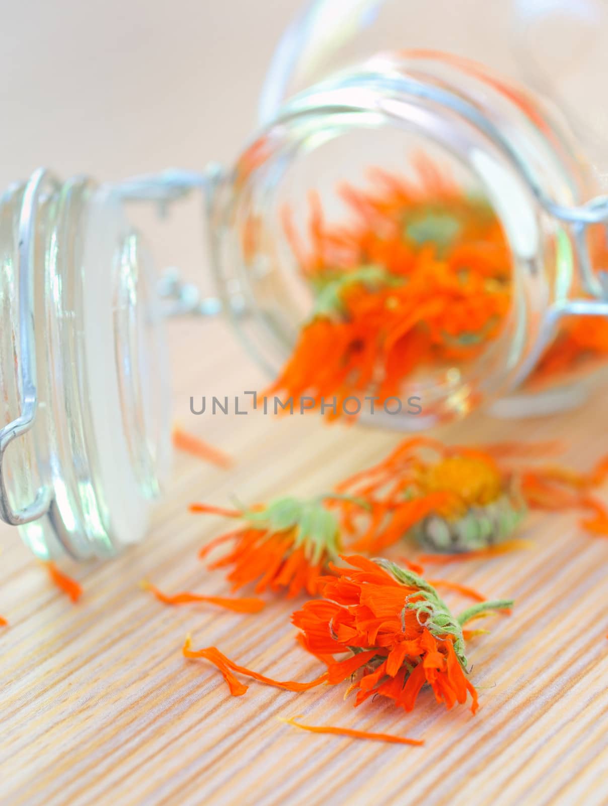 marigold herbal tea by mady70