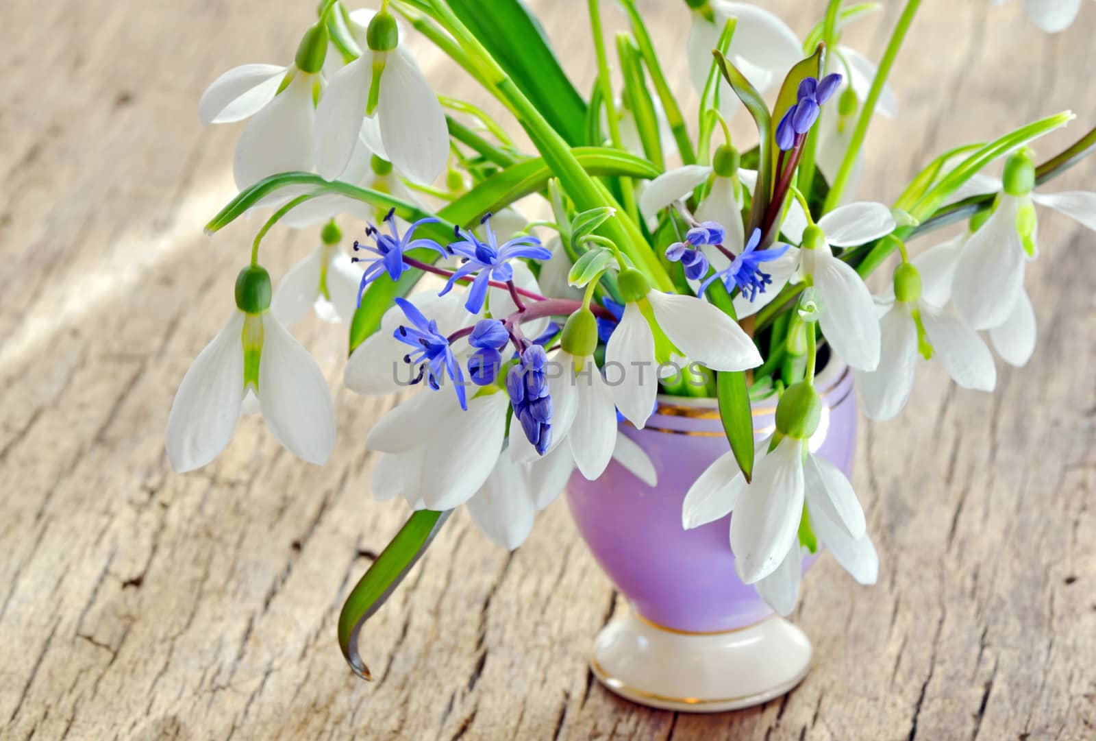 Beautiful bouquet snowdrops in a vase on woody background by mady70