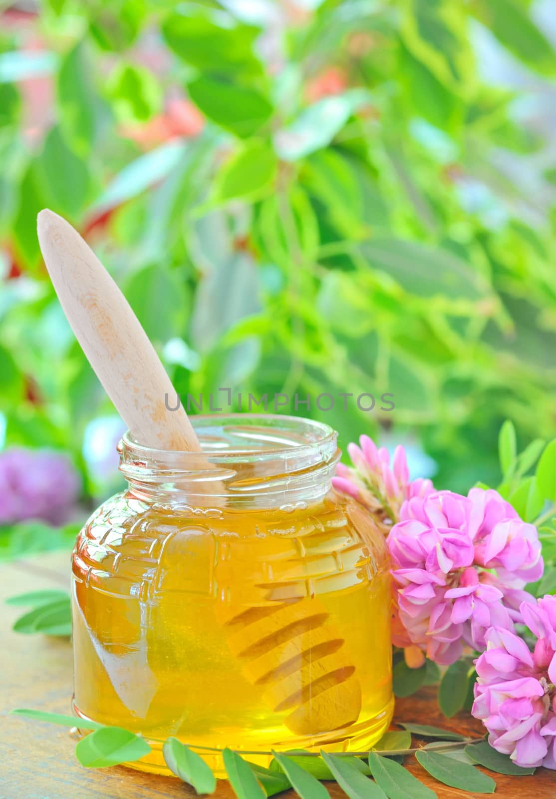 glass jar full of honey and stick with acacia pink and white flowers