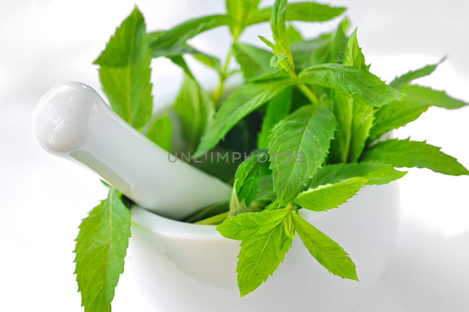 Mortar and mint leaves