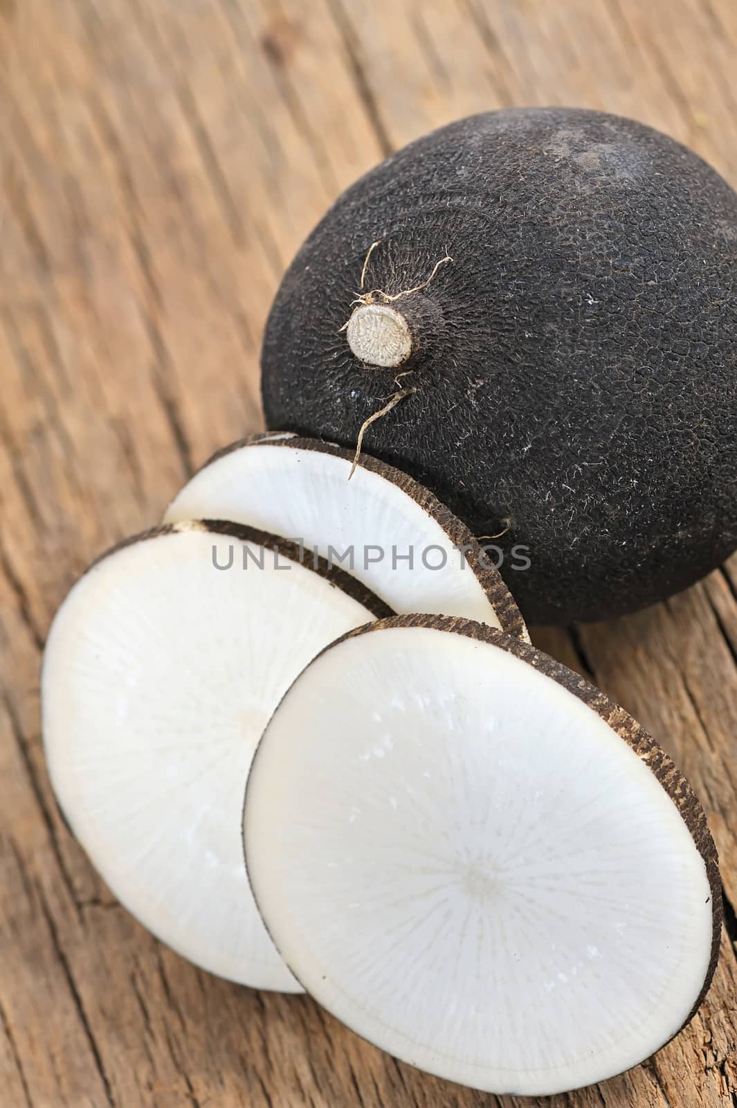 Black radish on a wooden board by mady70