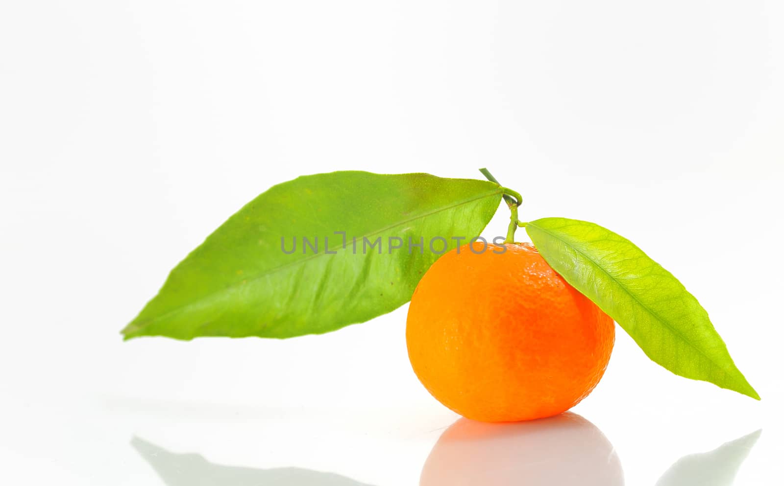 mandarin with leaf