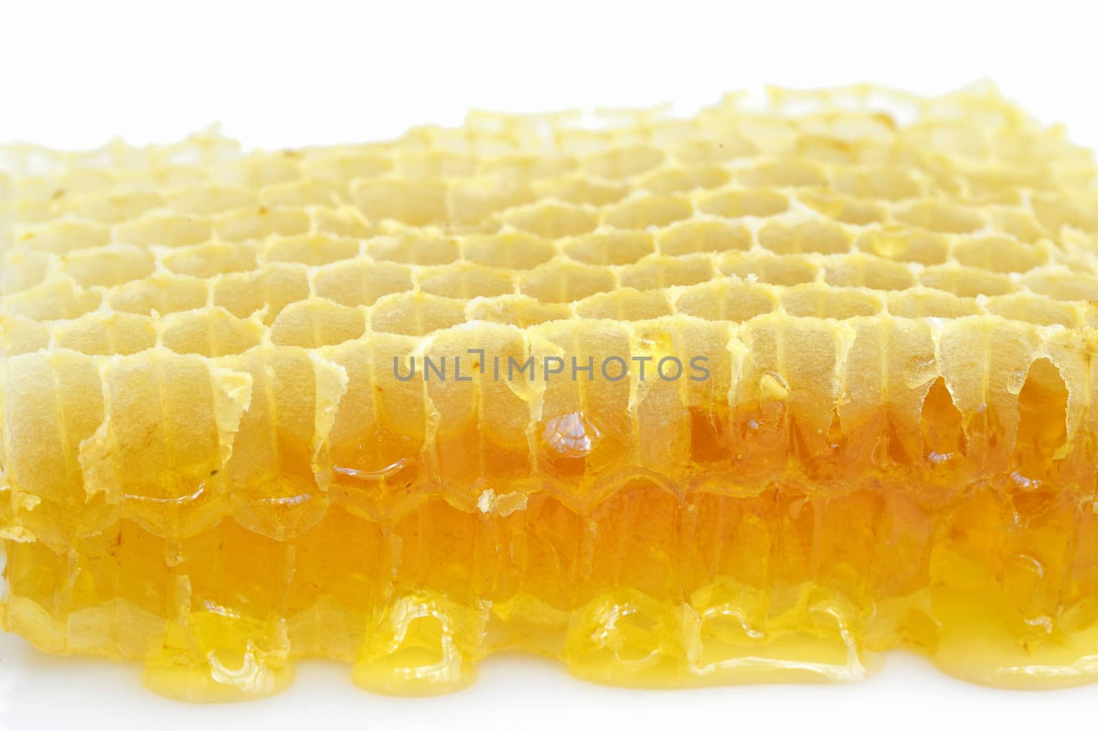 Honey honeycombs on the white background