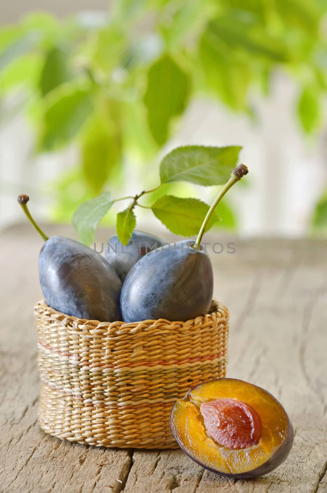 basket with plums