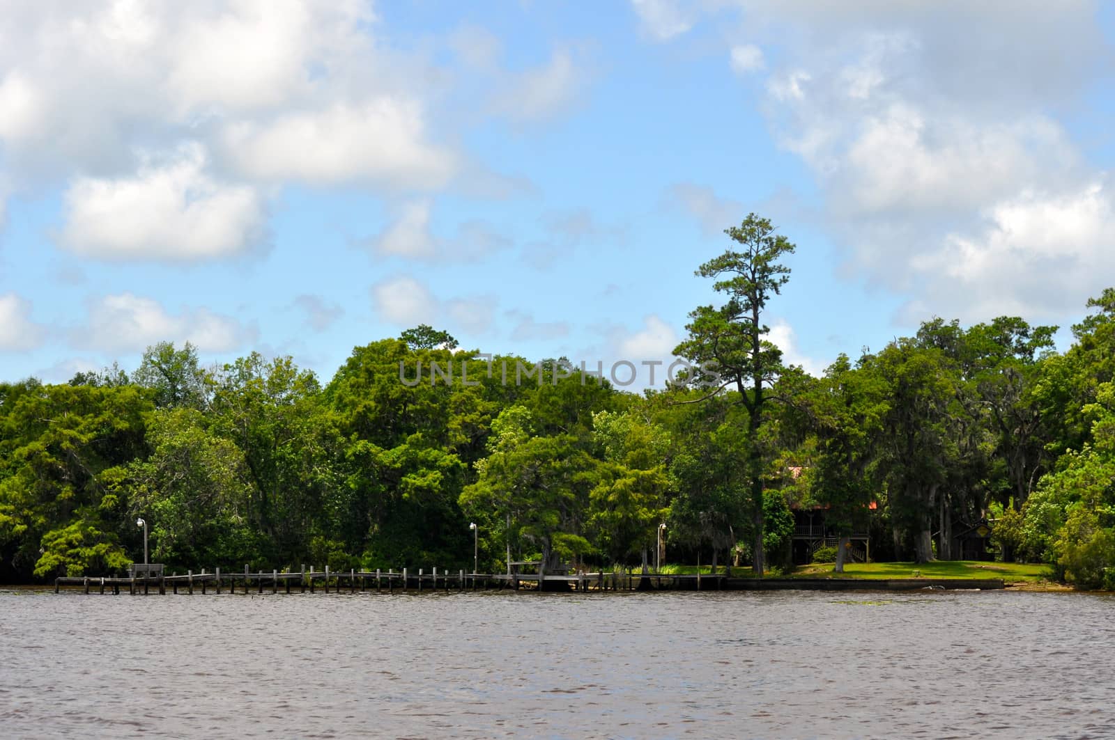Waccamaw River by RefocusPhoto
