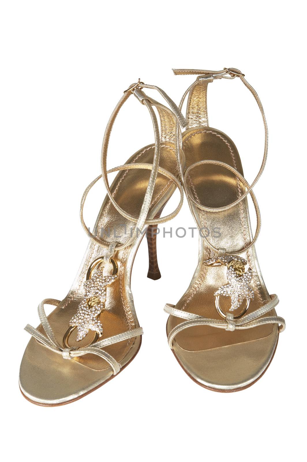 The female open shoes on a white background