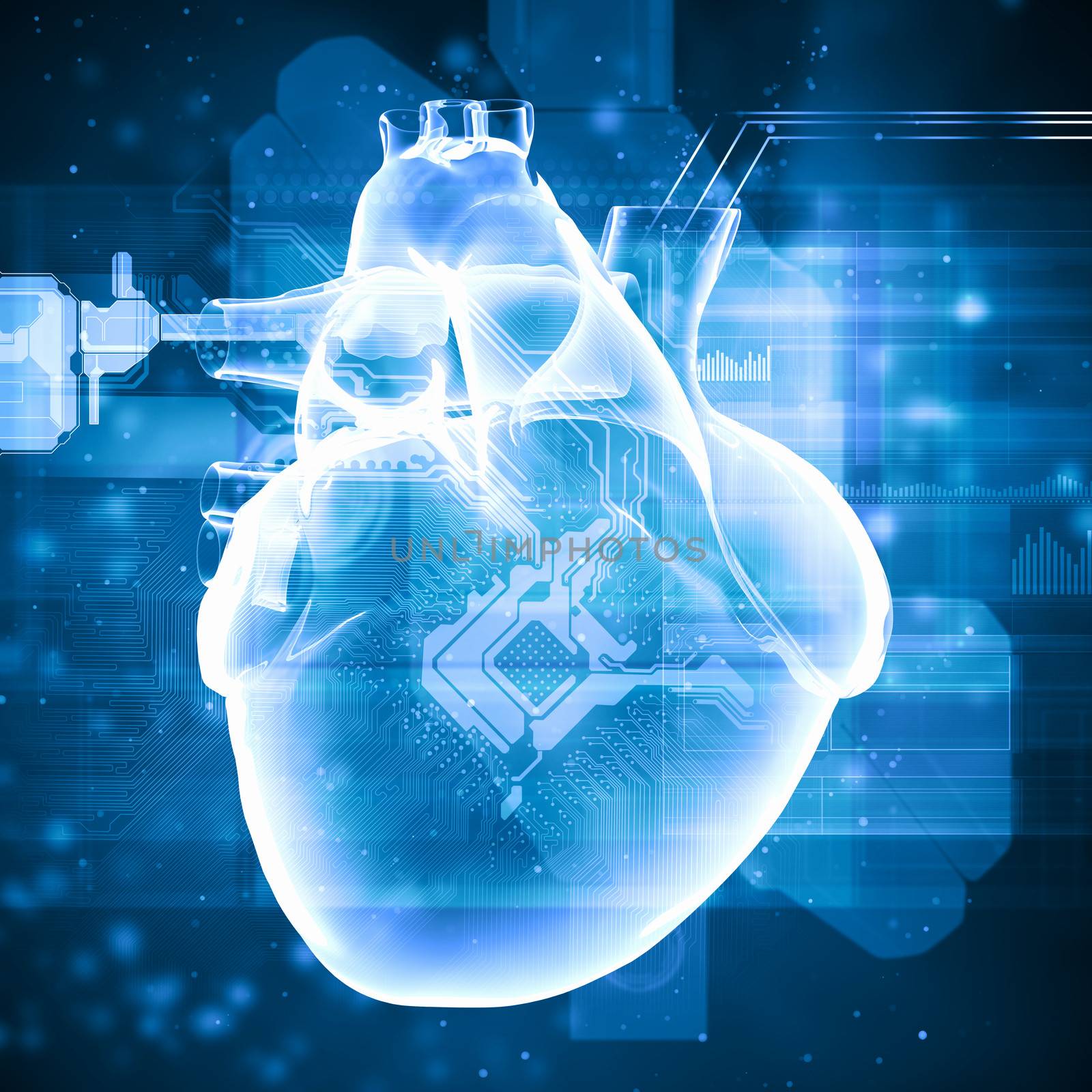 Virtual image of human heart with cardiogram