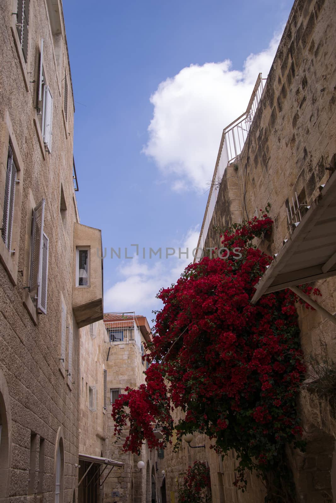 Narrow streets of old city. by slavamalai