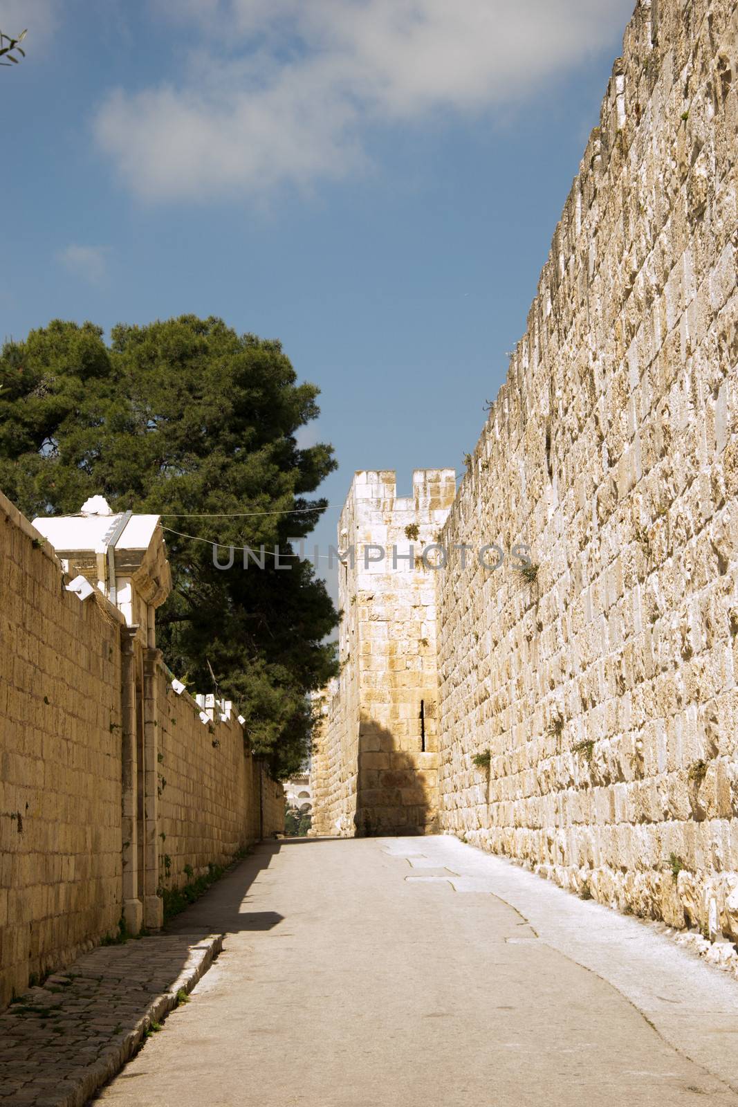 Narrow street of old city.