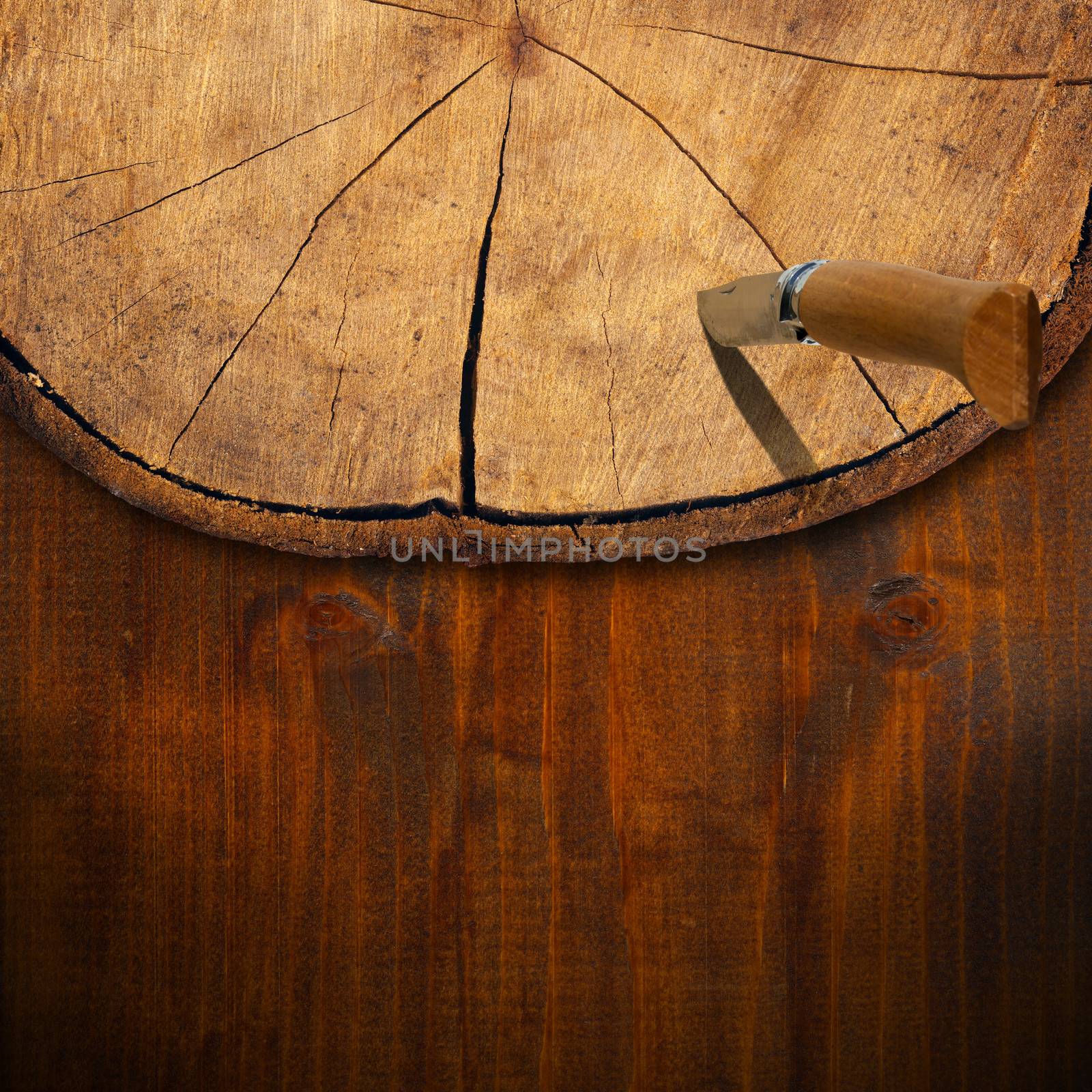 Wooden background with trunk section, folding knife and shadows
