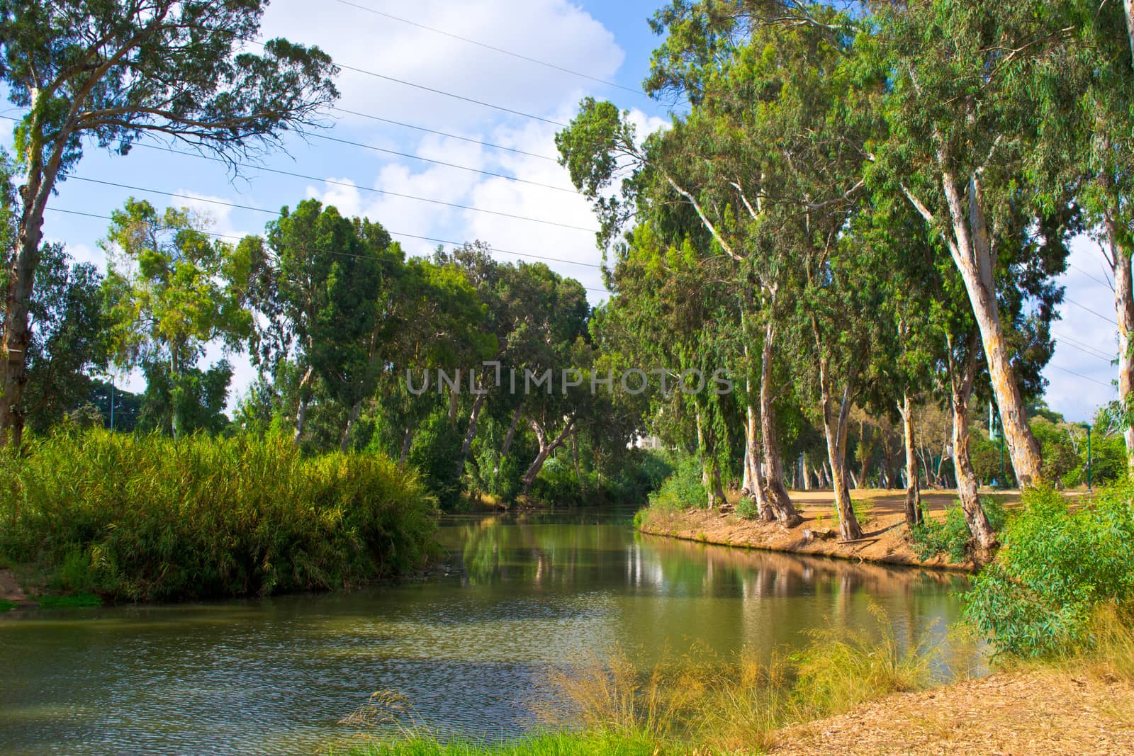 View of summer park Yarkon in Tel Aviv,Israel