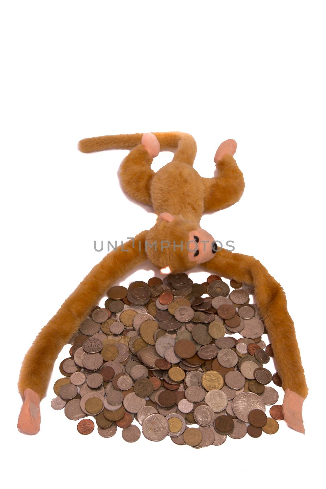 Pile of coins and a monkey isolated on white background
