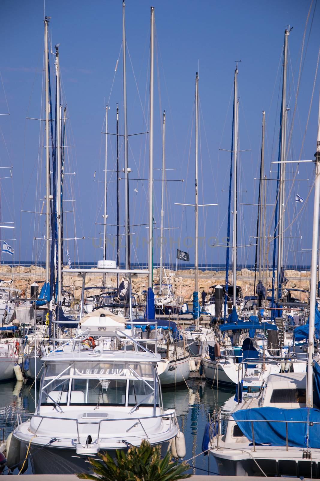 The yachts at the coast Tel-Aviv by slavamalai