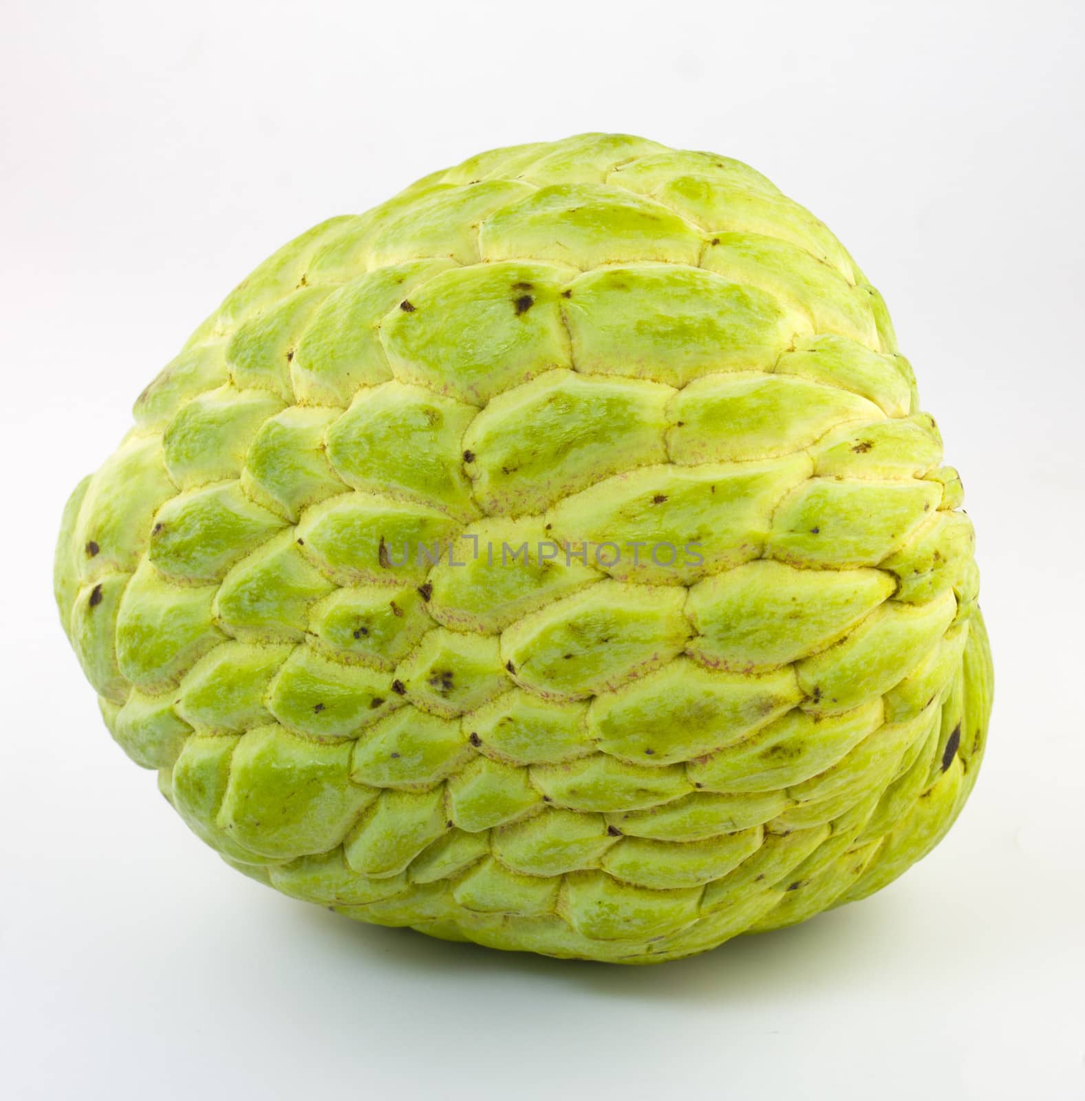 Sugar Apple on white background by myrainjom01