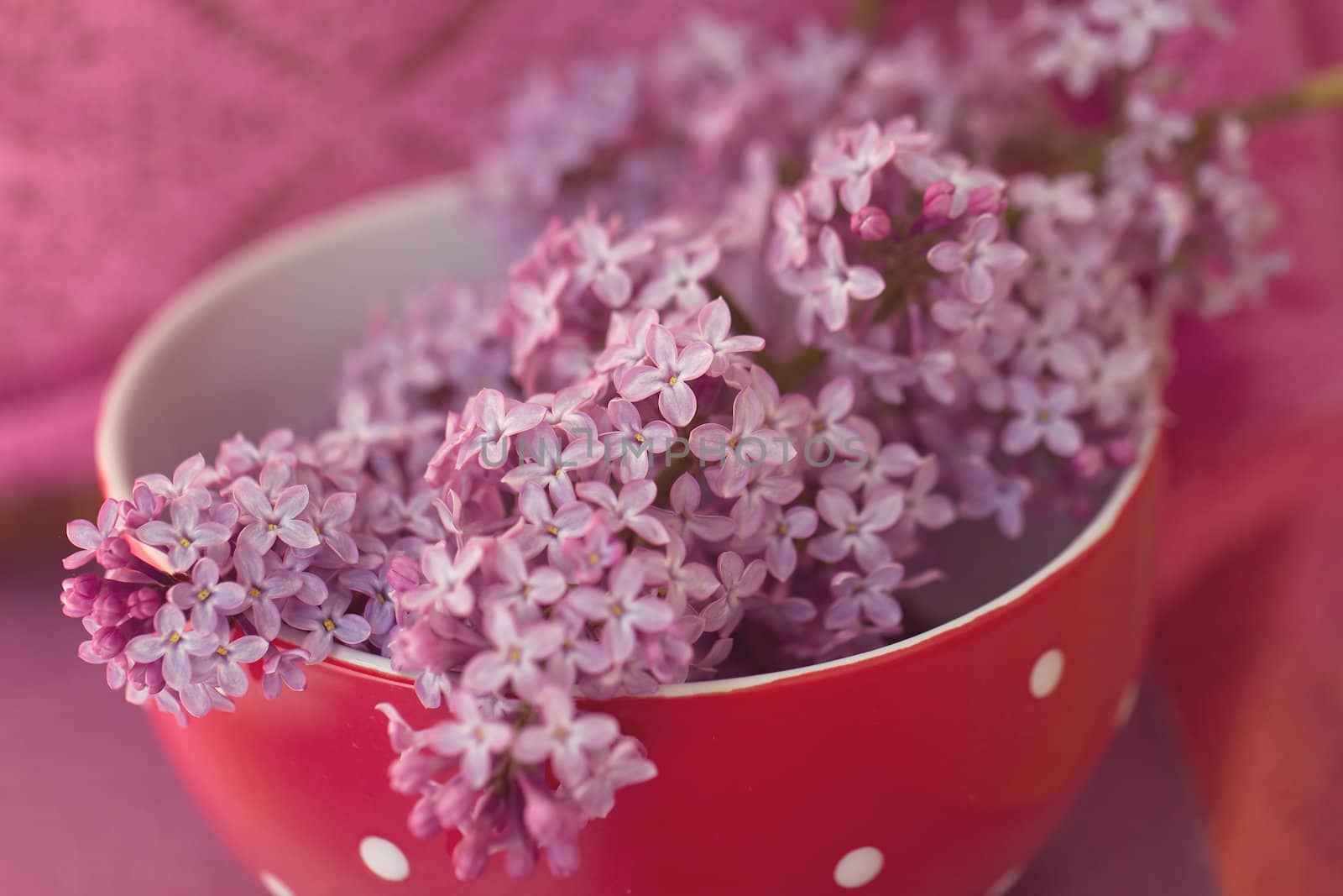 bowl, plate with lilac by victosha