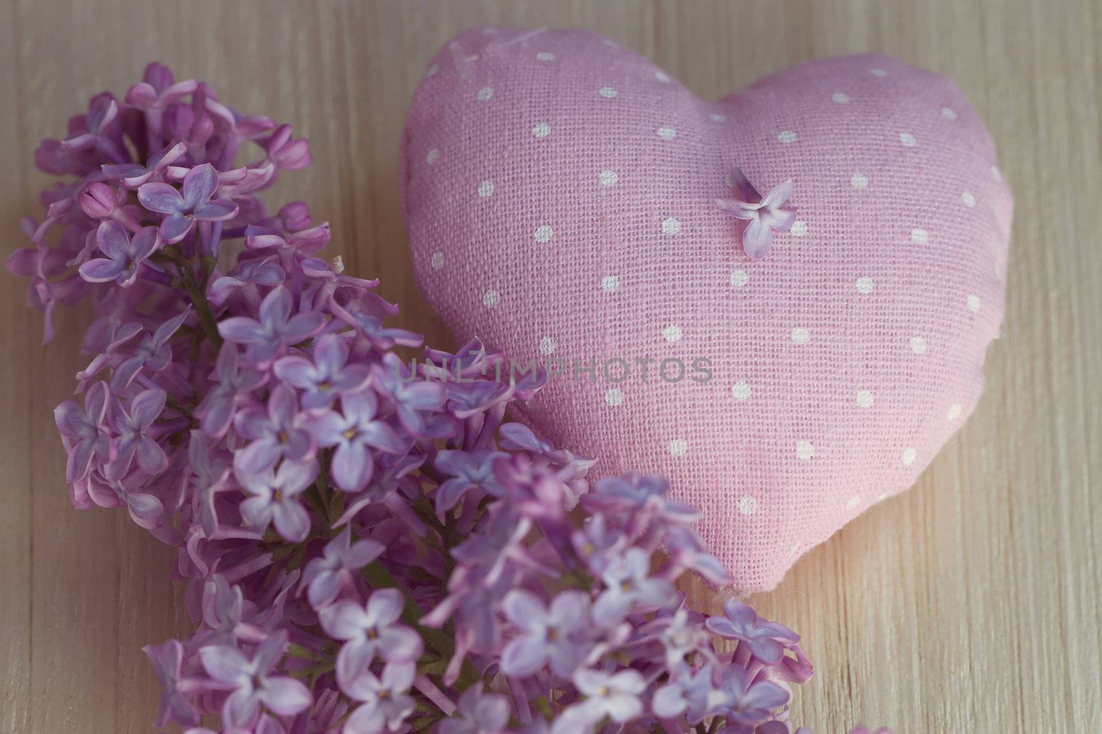 Textile heart polka dot next to a lilac by victosha