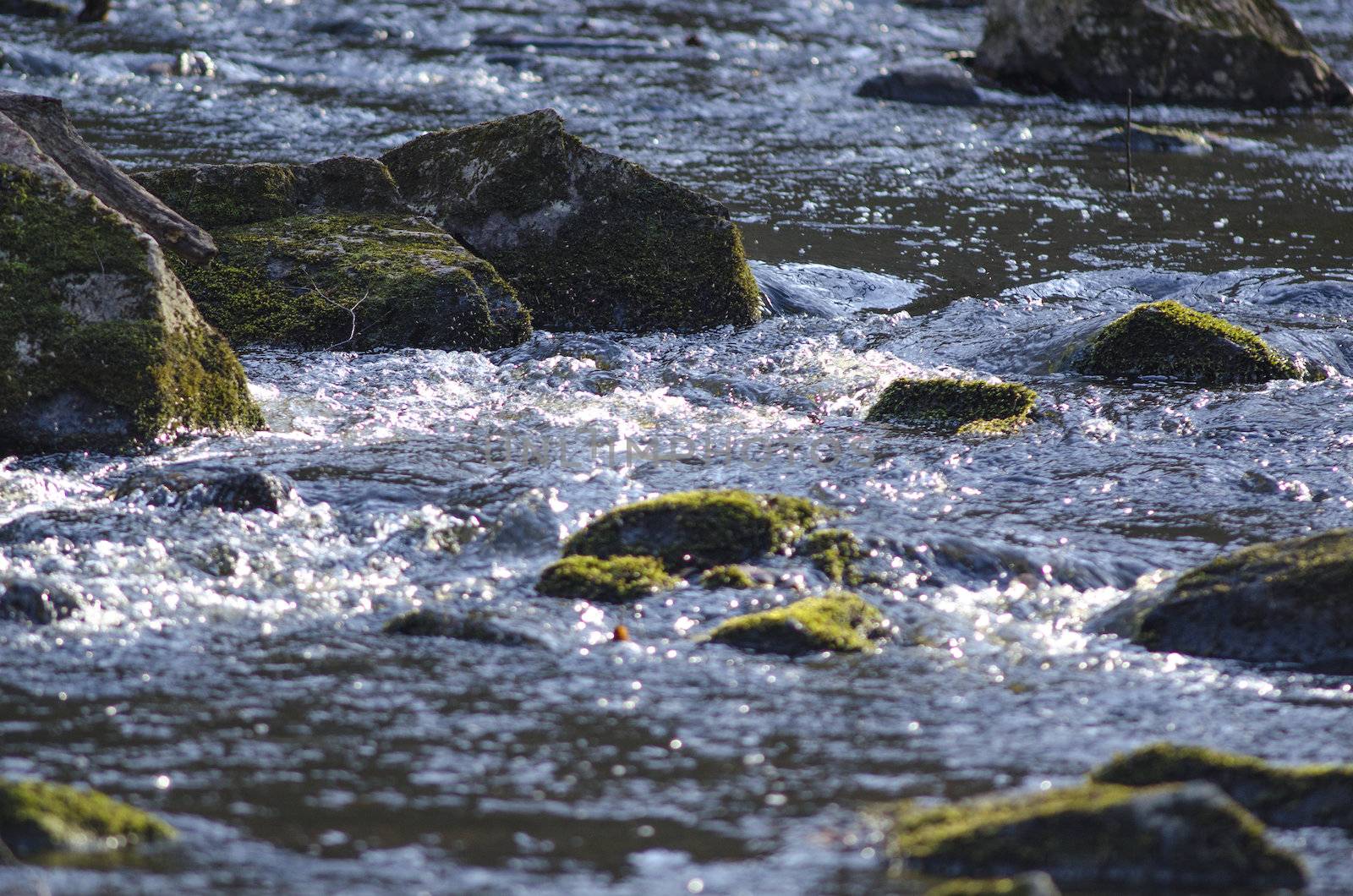 Detail of a small mountain river in spring