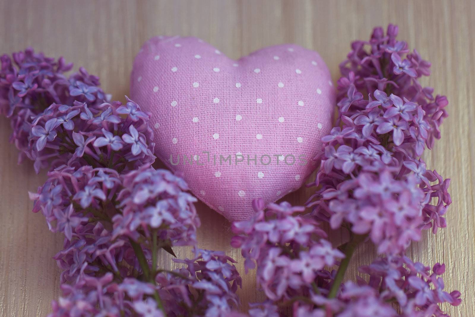 Textile heart polka dot next to a lilac by victosha