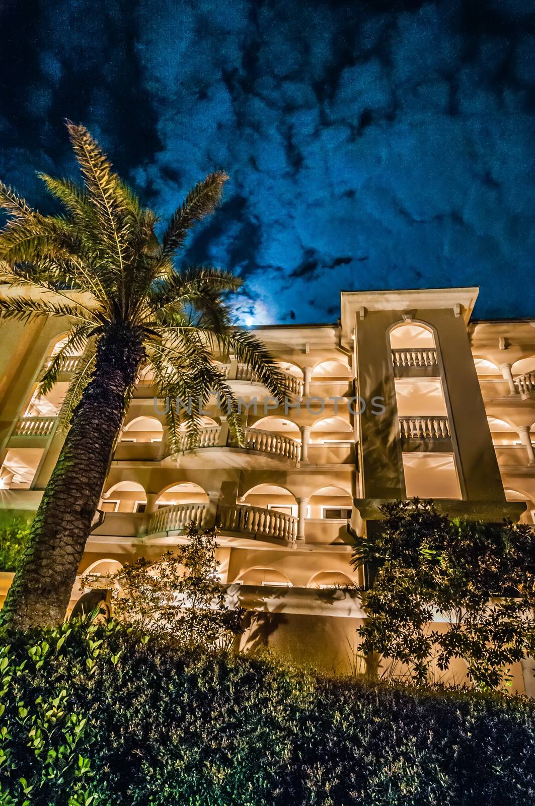 palm tree at night near hotel by digidreamgrafix