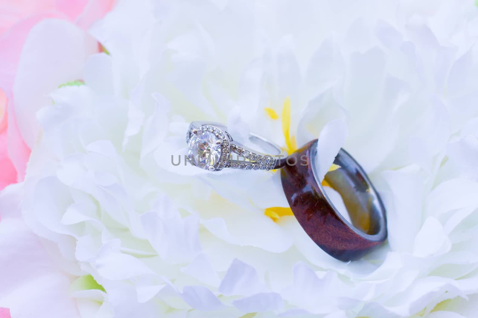 Wedding Rings on flowers by joshuaraineyphotography