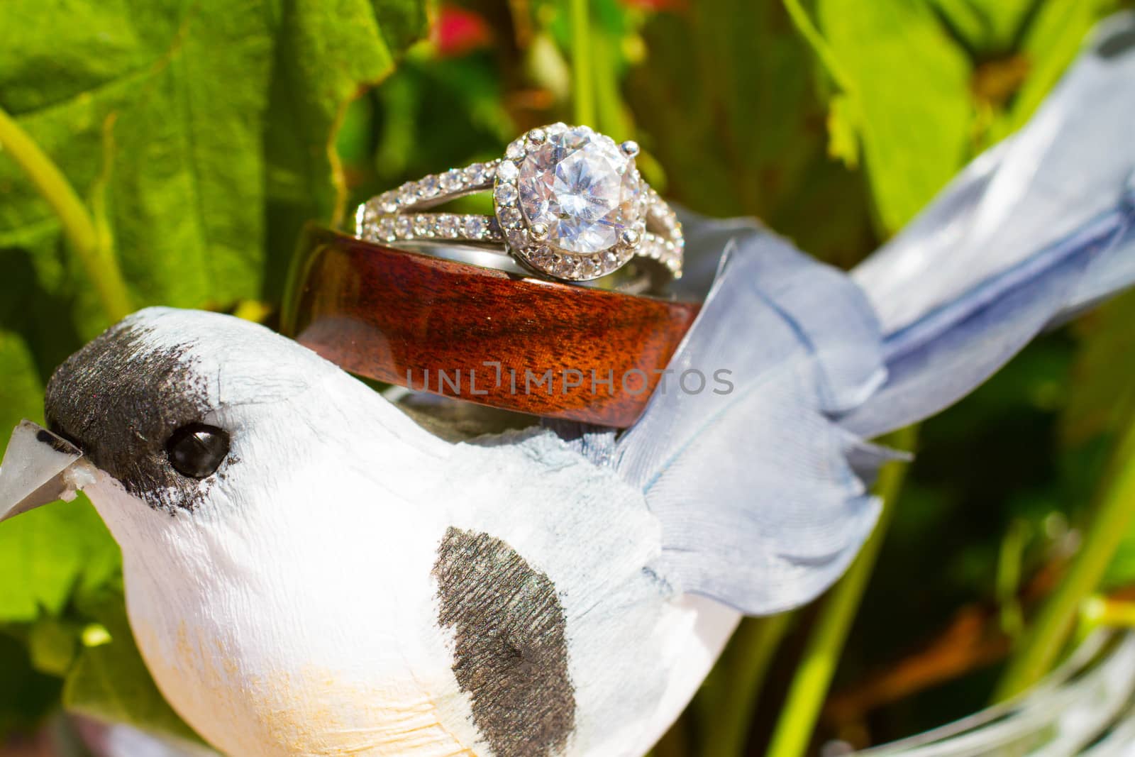 Wedding Rings and Bird by joshuaraineyphotography