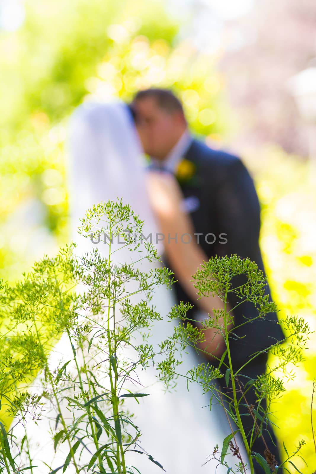 A bride and groom share a sweet moment with some plants in front of them and a shallow depth of field.