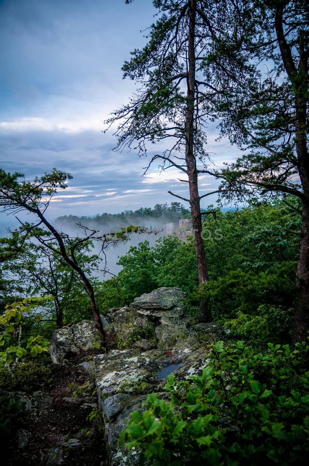 crowders mountain views with clouds and fog at sunset