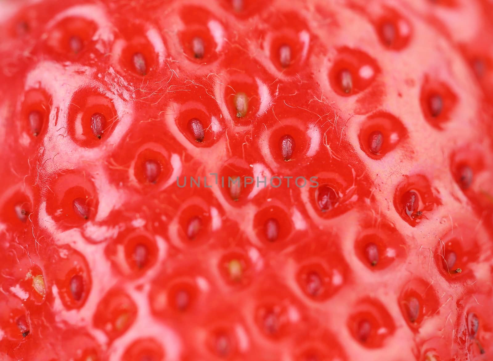 Extreme macro of strawberry texture -background. Macro.