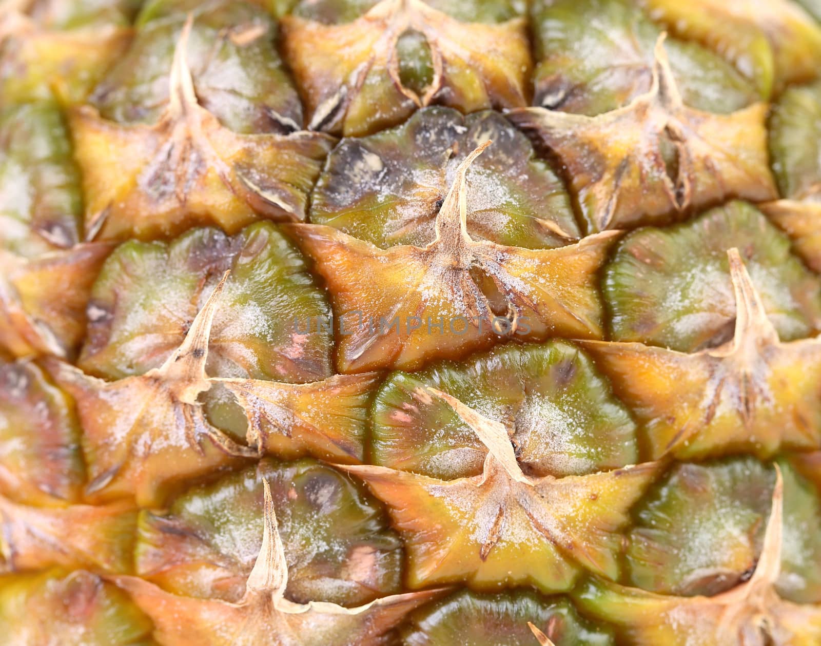 Pineapple fruit close up. Macro. Whole background.