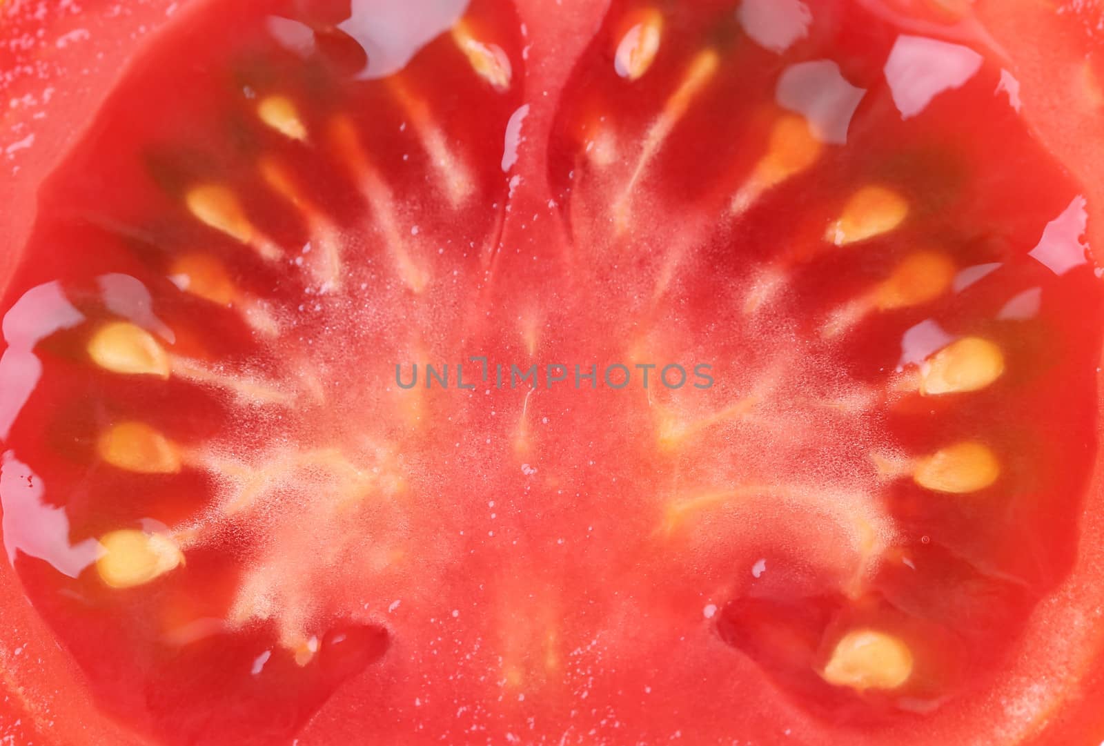 slice of tomato isolated on a white background