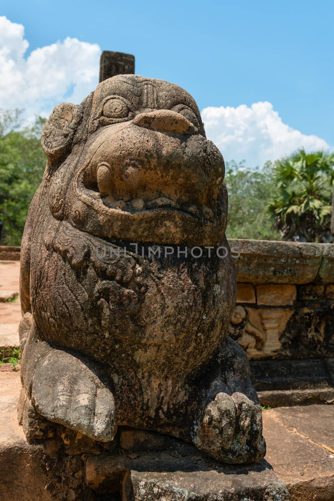 Ancient lion guard near entrance by iryna_rasko