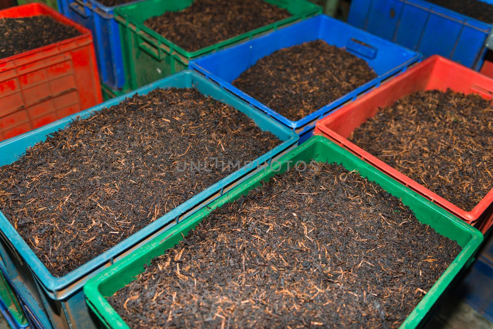 Bulk tea in boxes on the tea factory