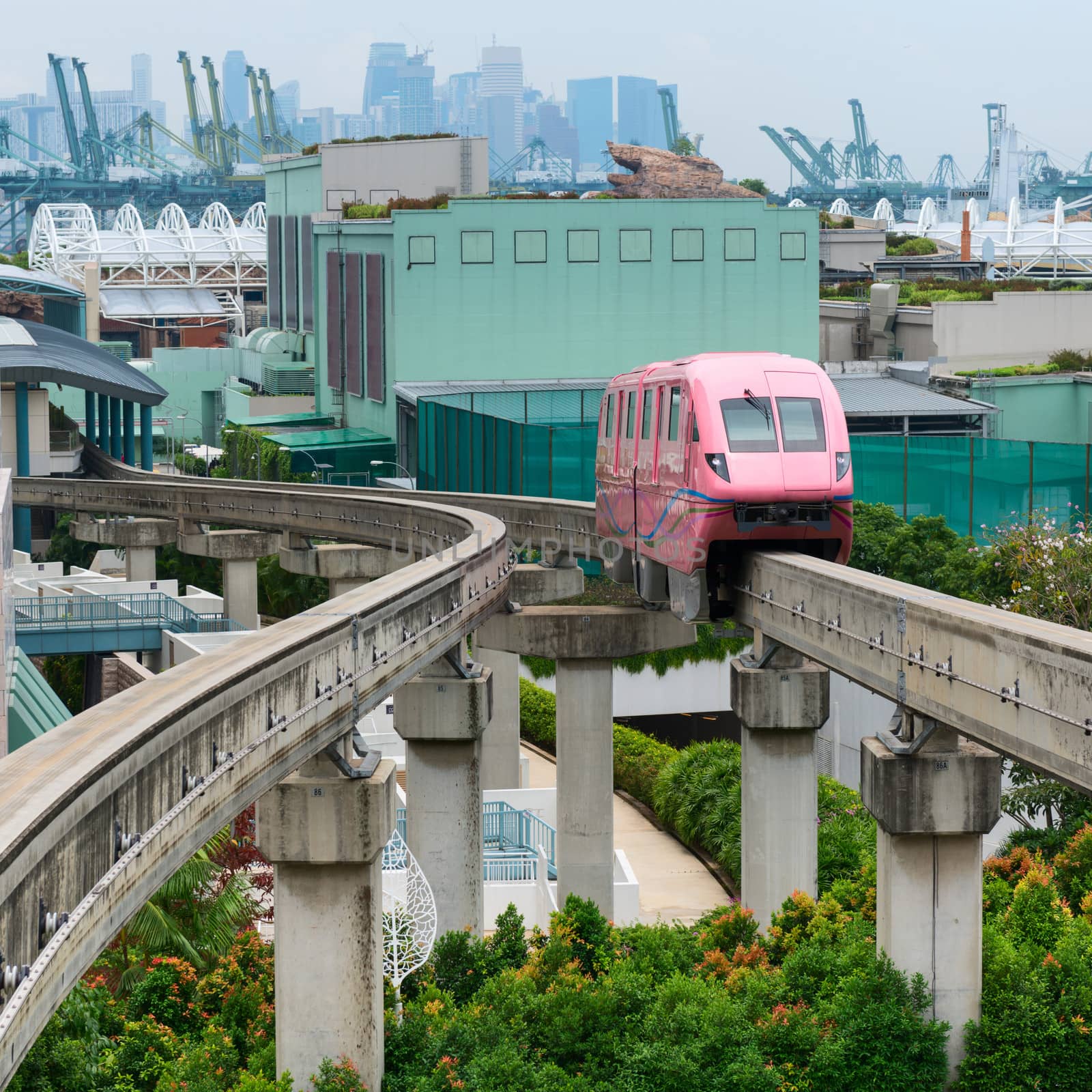 Short monorail train in bright pink flower, Sentosa island, Singapore