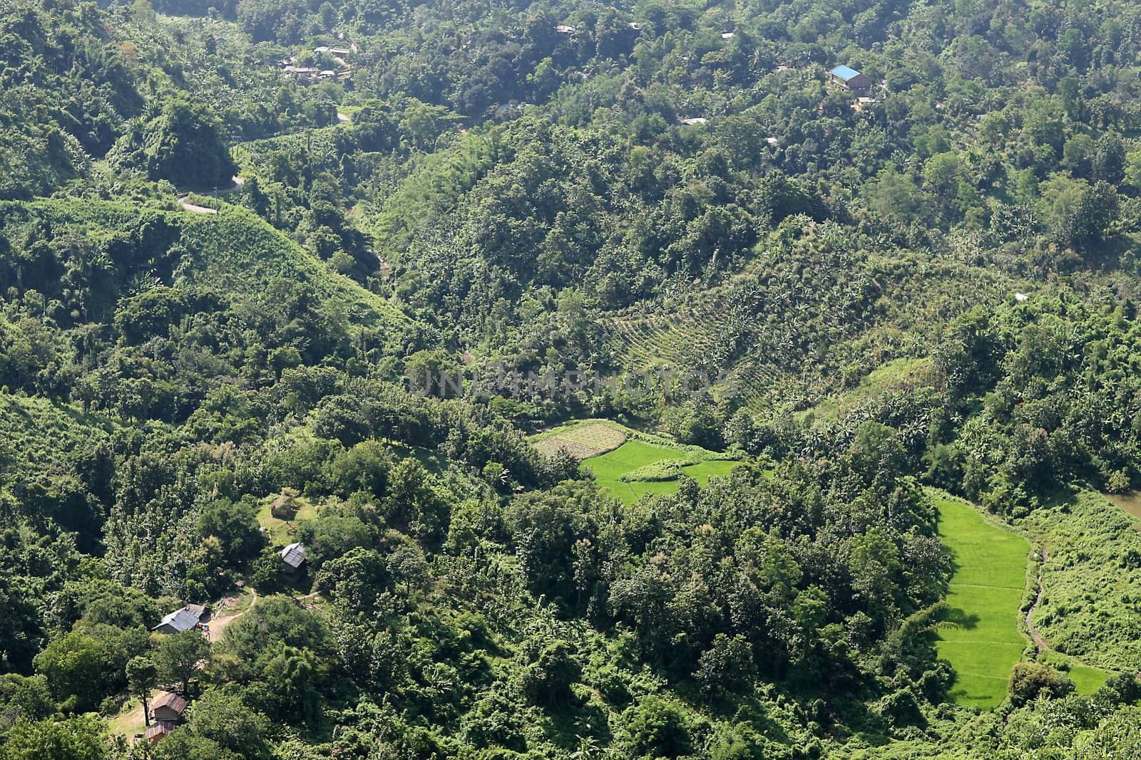 Indigenous Tripura village in the Chittagong Hill Tracts (CHT) of Bangladesh