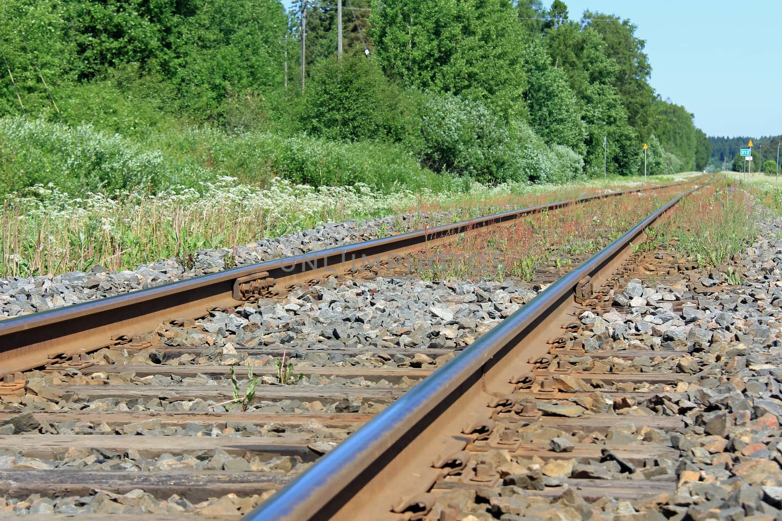 Rural landscape with railroad tracks at summer. Please note, focus on the center of image.