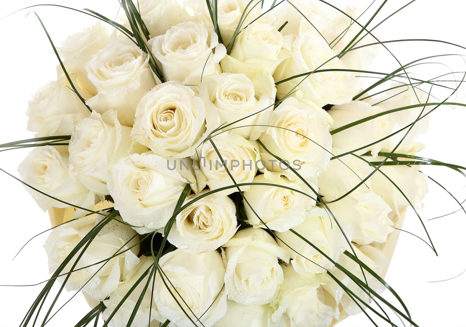 A large bouquet of white roses. A huge bouquet of cream roses. The isolated image on a white background.