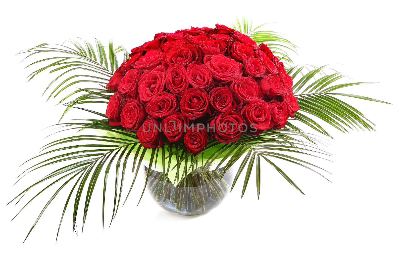 A bouquet of red roses in a transparent glass vase. The isolated image on a white background.