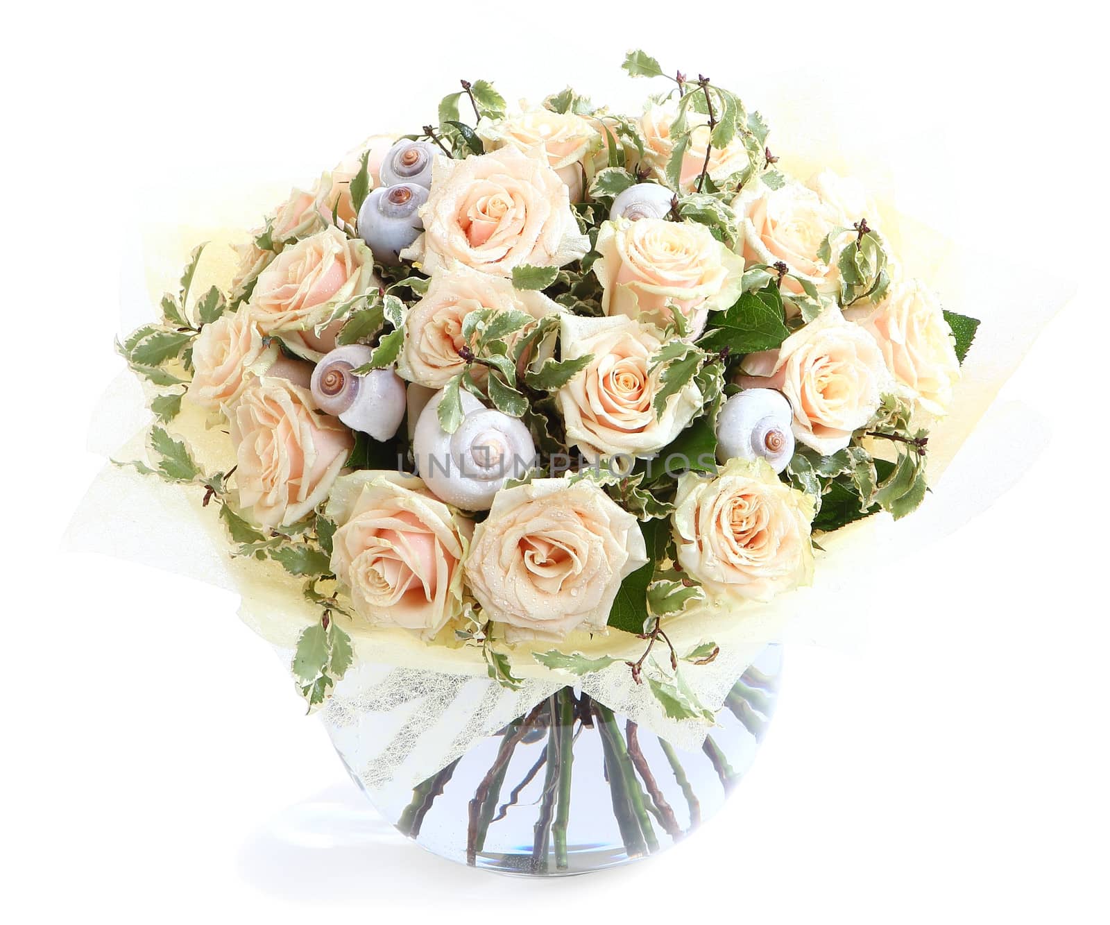 Flower arrangement with cream roses and seashells, a transparent glass vase. by grigvovan