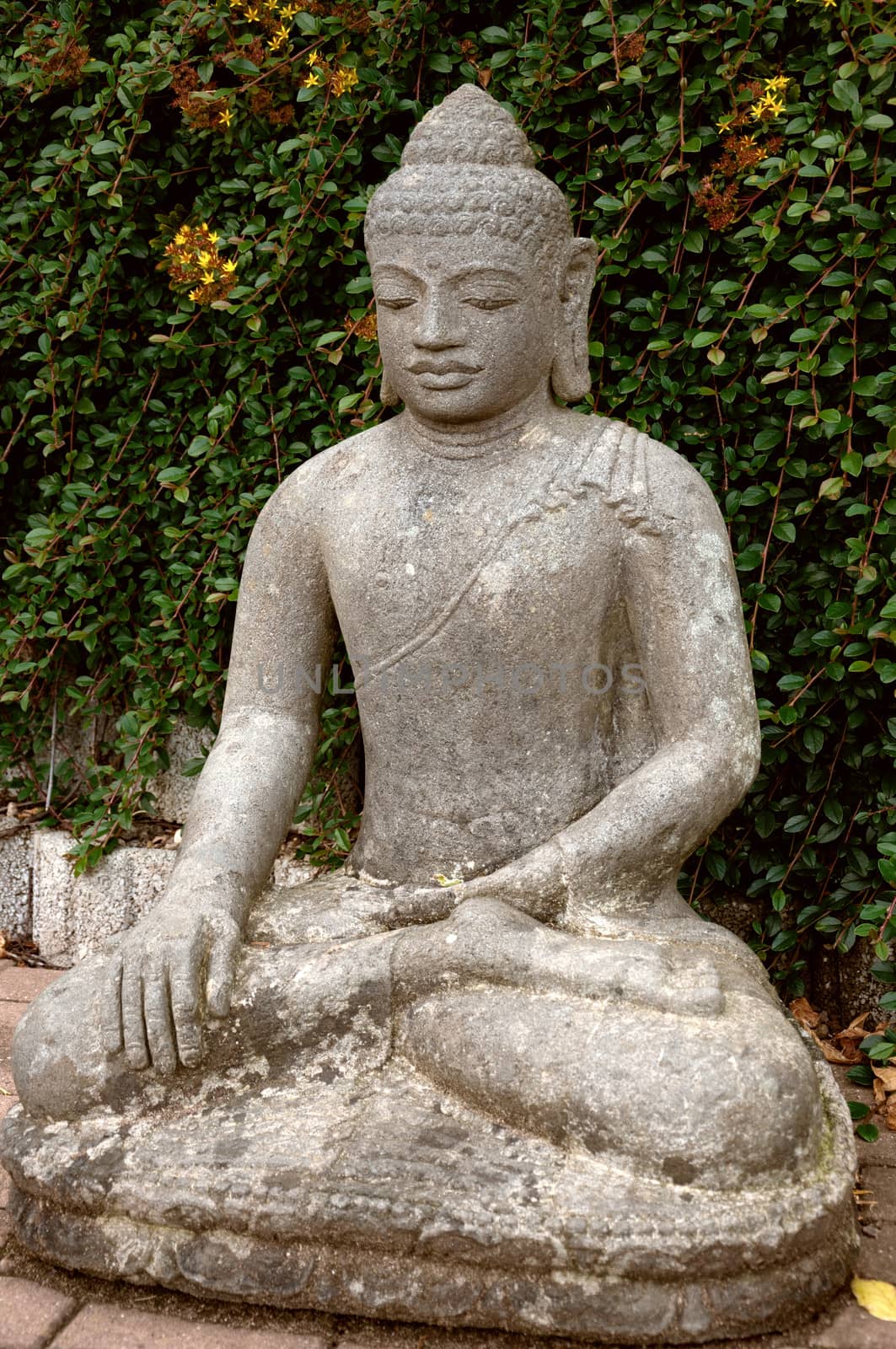 Stone Buddha sitting in lotus position in the garden.