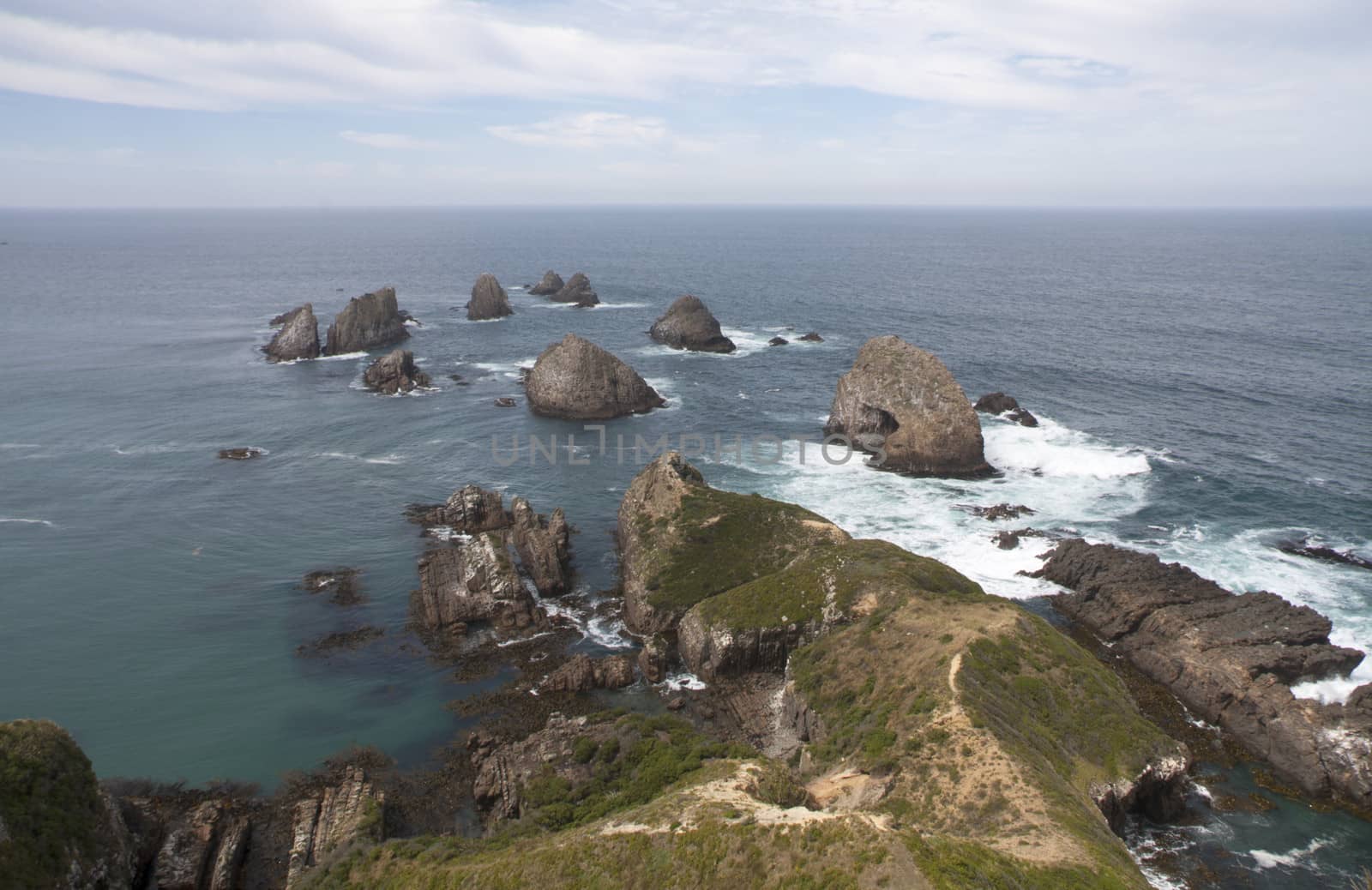The rocks at Nugget Point, Otago, New Zealand 