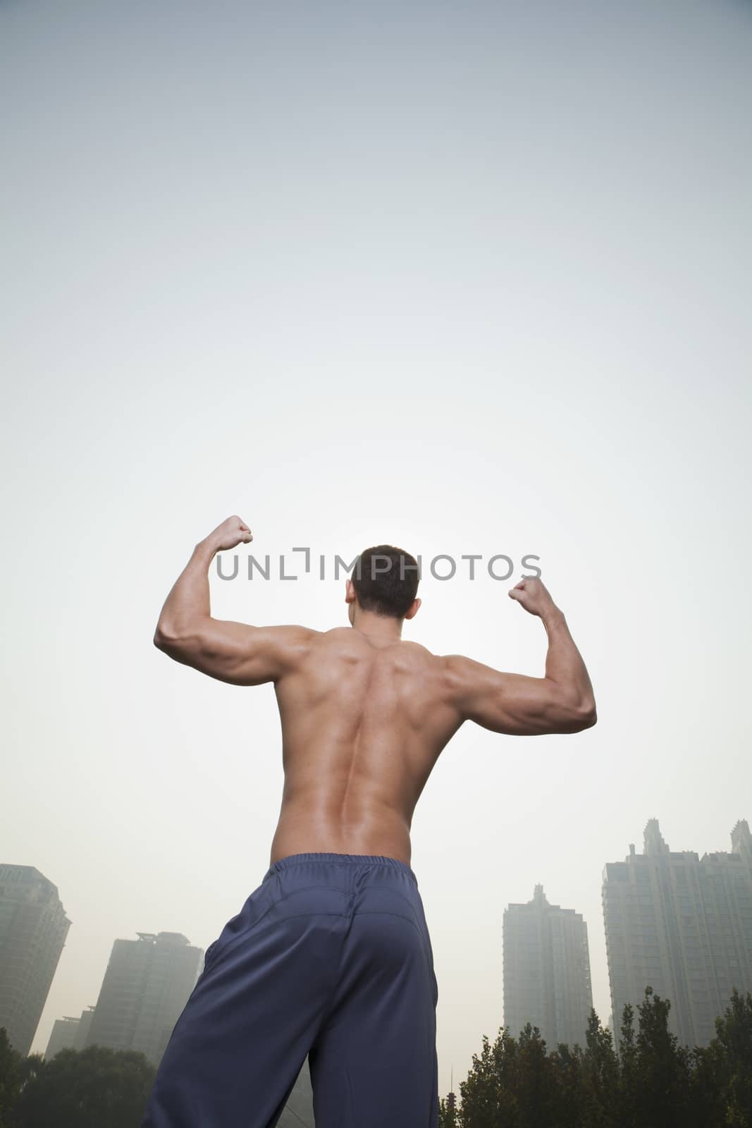 Muscular Man's Back