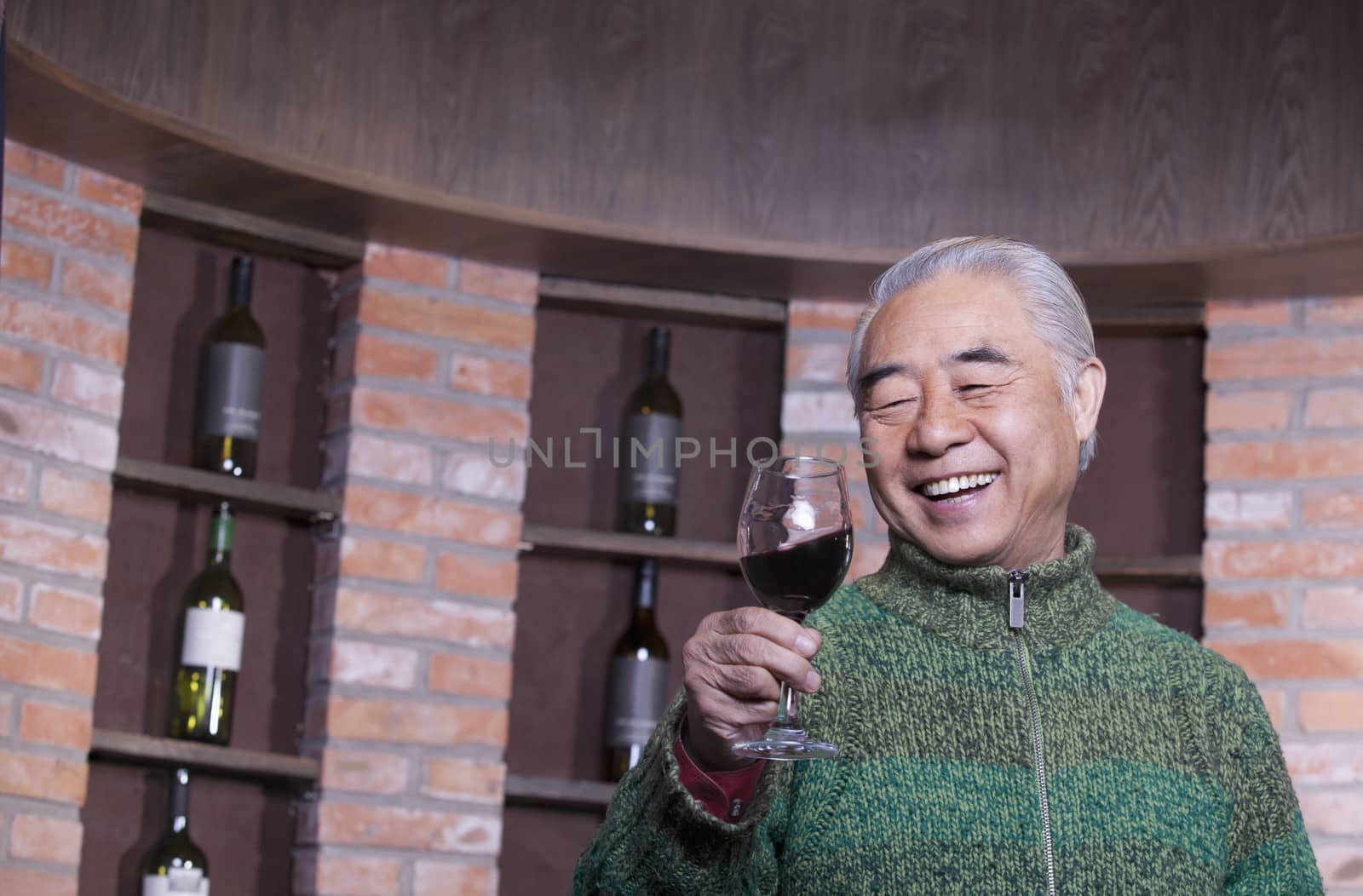 Senior Man Holding Wineglass, Portrait 