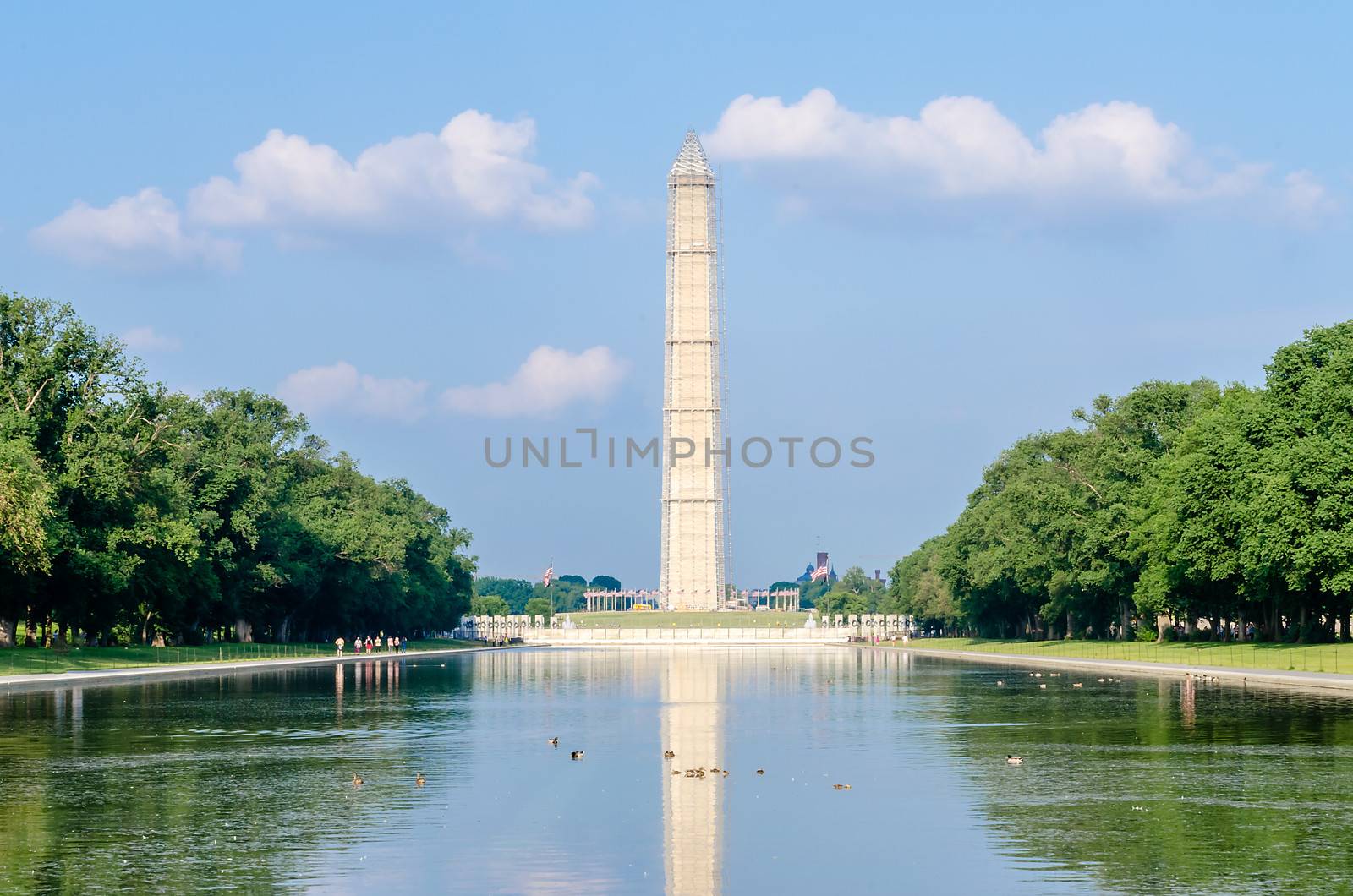 Washington Monument and Reflecting Pool, Washington DC by marcorubino