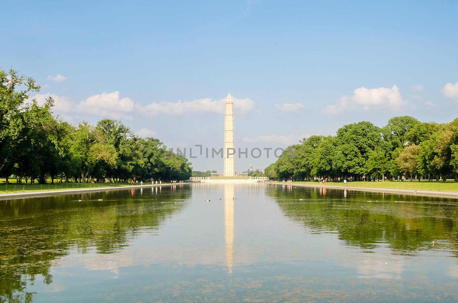 Washington Monument and Reflecting Pool, Washington DC by marcorubino