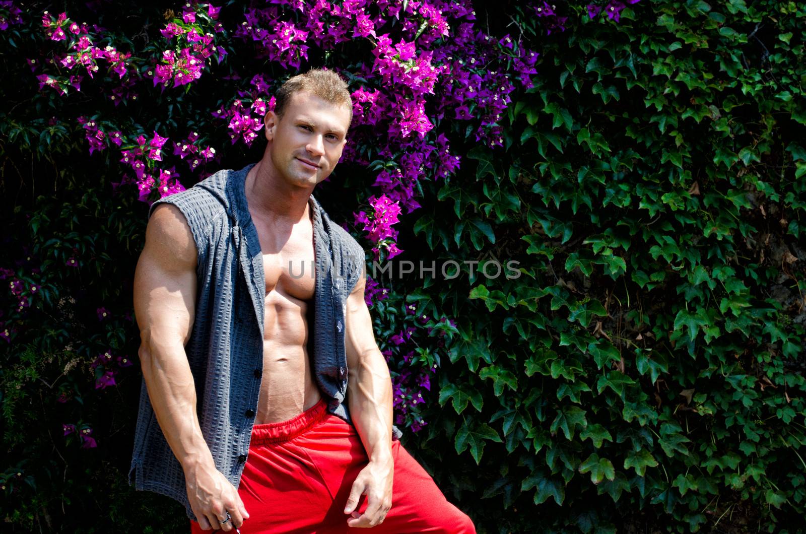 Attractive muscular young man outdoors with open shirt, large copy space