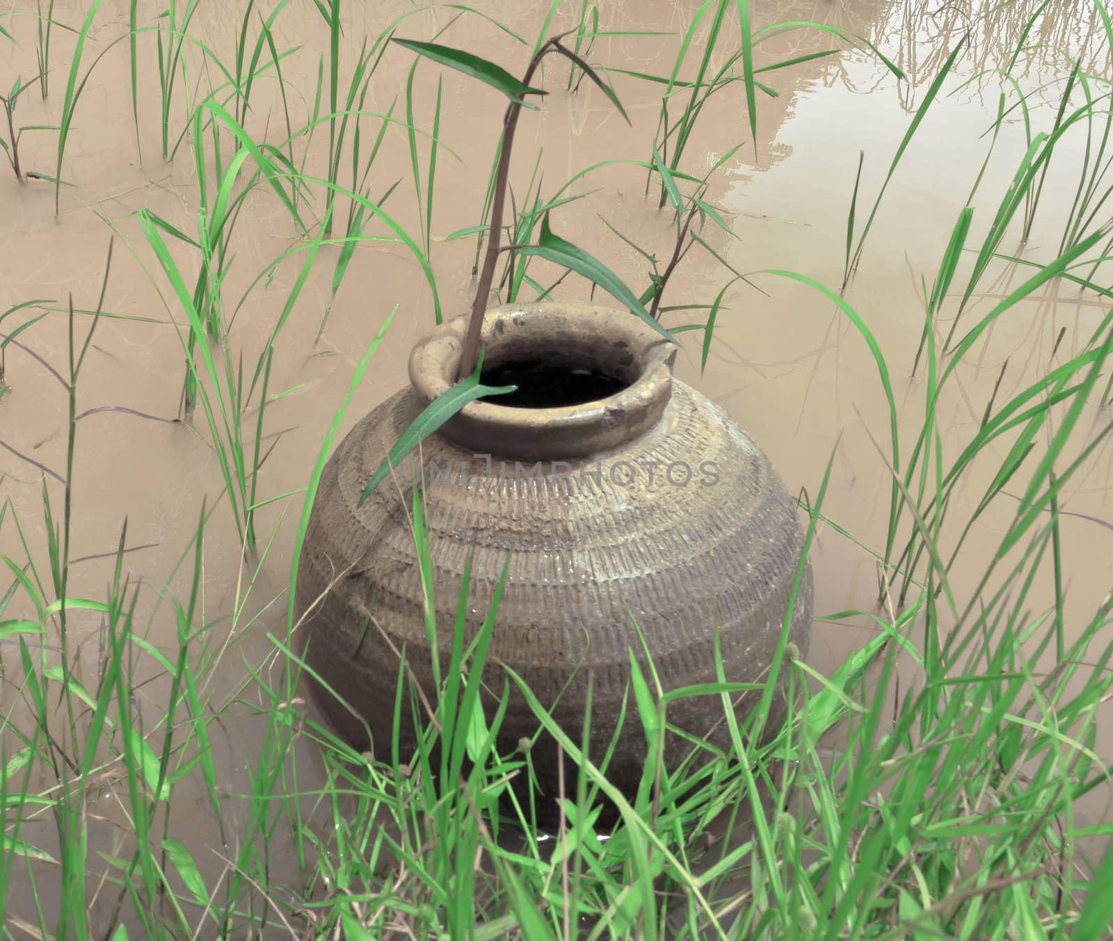 Old clay jars of rice by sutipp11