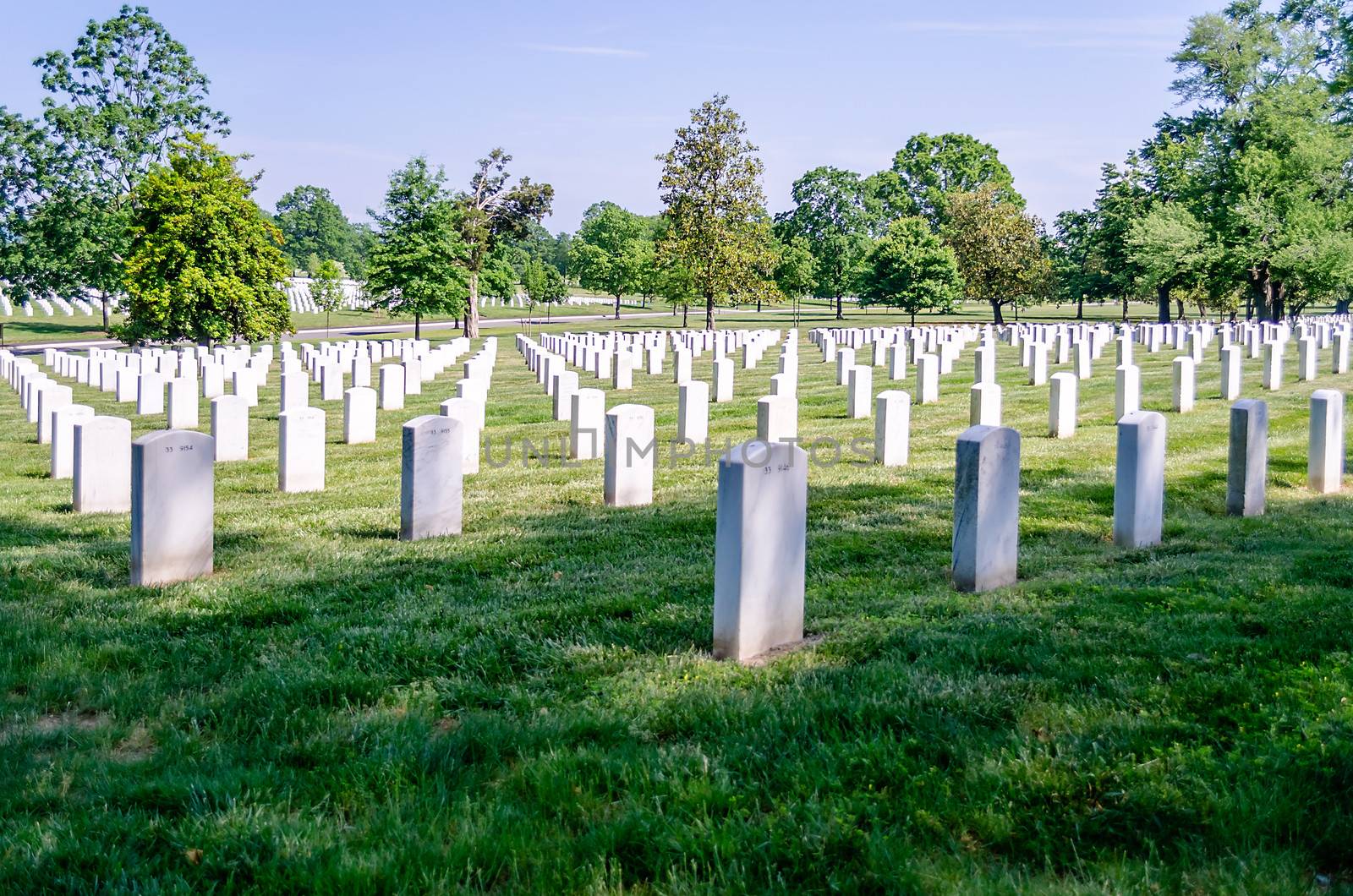 Rows of White Grave Stones by marcorubino