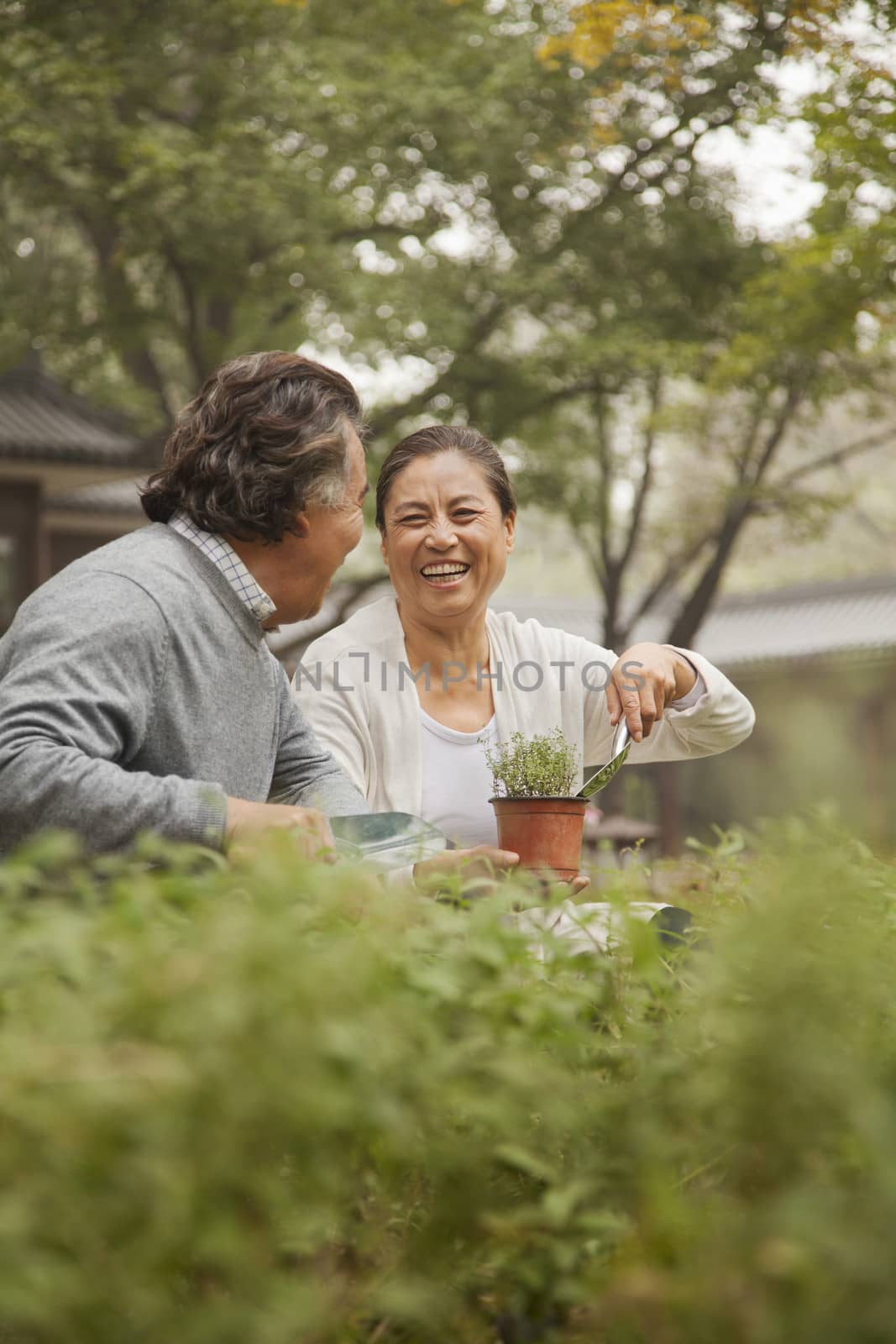 Smiling senior couple in garden