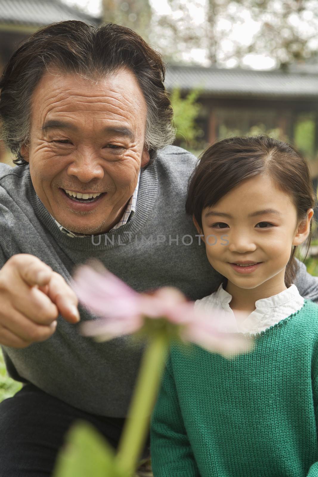 Grandfather and granddaughter looking at flower in garden