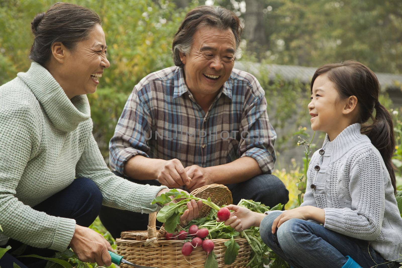 Grandparents and granddaughter in garden by XiXinXing